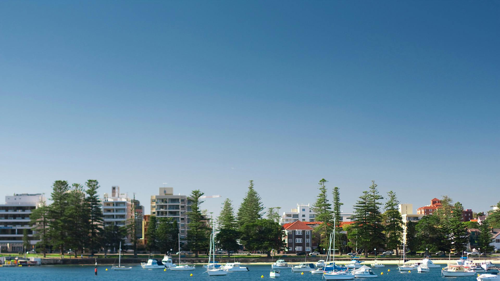 placeholders StaffTestimonialDev-bgd